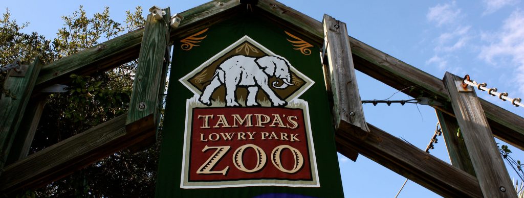 Lowry Park Zoo - Things to do in Tampa